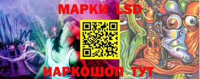 сатива Шахты