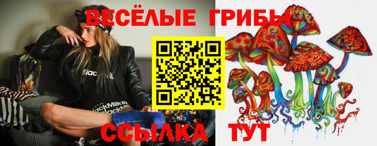 Псилоцибиновые грибы прущие грибы Нерюнгри